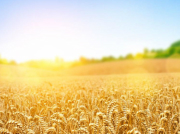 南方水泵變頻器在使用中的優(yōu)勢