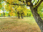 南方立式離心泵老發噪聲是什么原因？