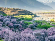 學習專業技術,完成自我超越——南方長河產品技術支持培訓圓滿完成